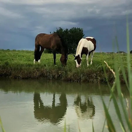 Valle Ca' Del Lovo Séjour à la ferme Carlino