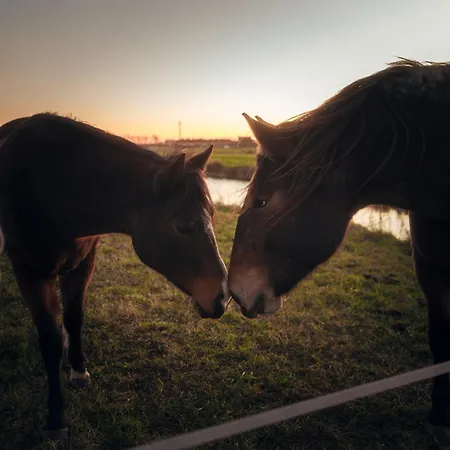 Séjour à la ferme Valle Ca' Del Lovo Carlino
