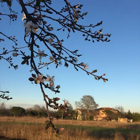 Valle Ca' Del Lovo Séjour à la ferme Carlino