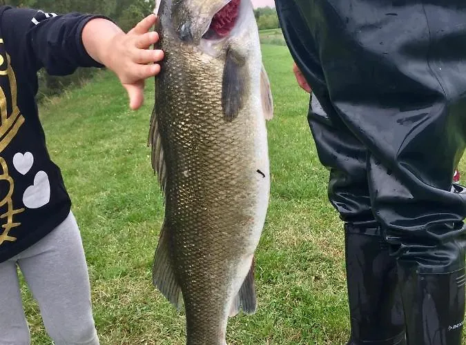 Κατάλυμα σε φάρμα Valle Ca' Del Lovo