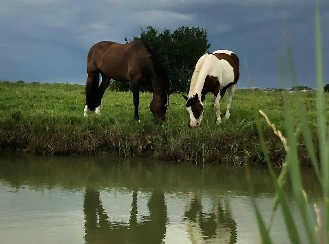 Valle Ca' Del Lovo Κατάλυμα σε φάρμα Carlino