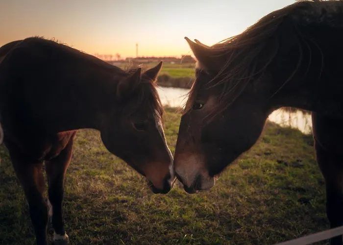 Κατάλυμα σε φάρμα Valle Ca' Del Lovo Carlino