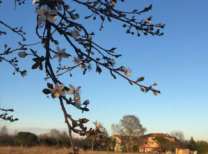 Valle Ca' Del Lovo Κατάλυμα σε φάρμα Carlino